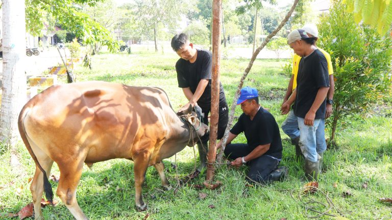 fahutan berkurban