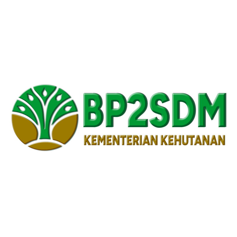 BP2SDM
