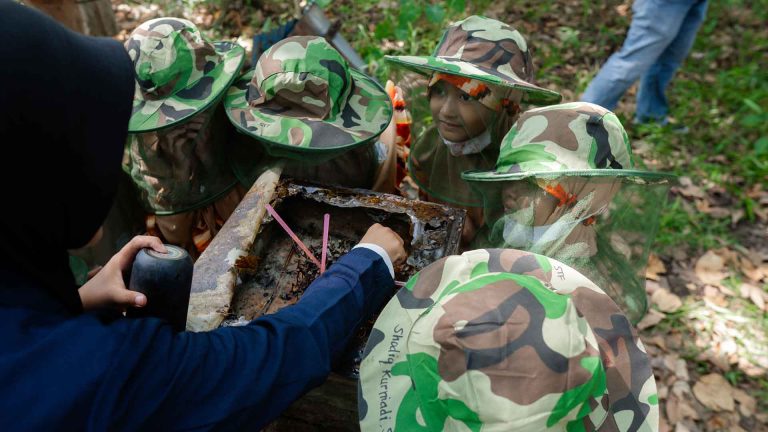 Siswa TK memanen madu di Sylva Trigona Farm UNTAN
