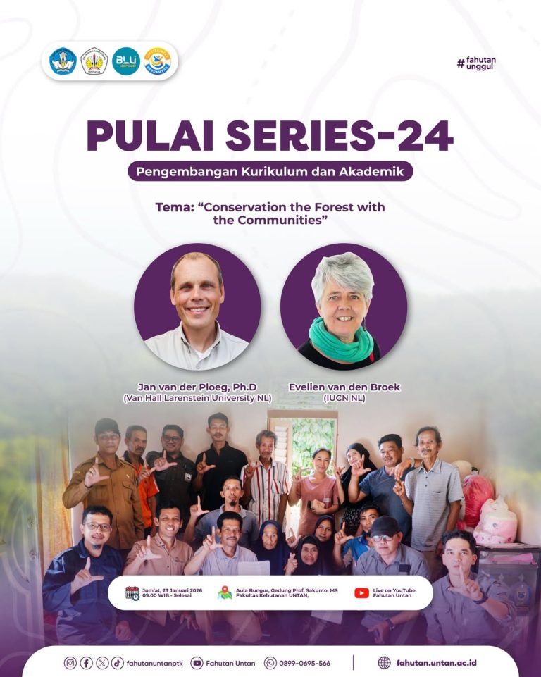 PULAI SERIES 24
