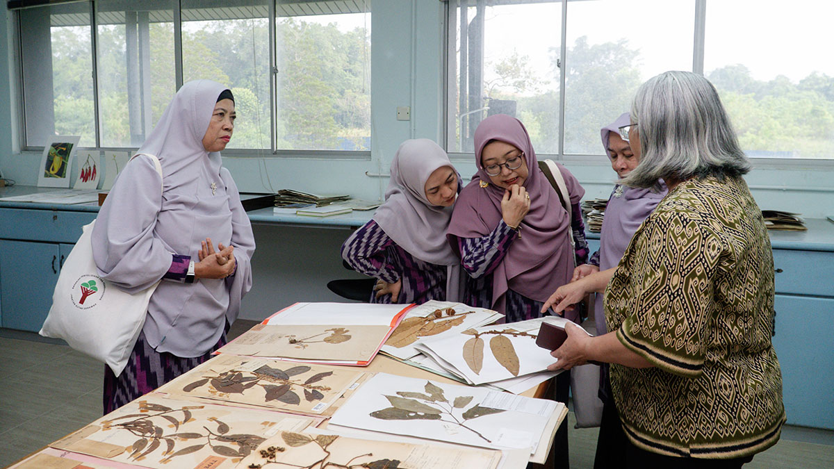 Peserta mengamati lembar spesimen tumbuhan di meja herbarium bersama seorang pendamping di ruang penelitian.